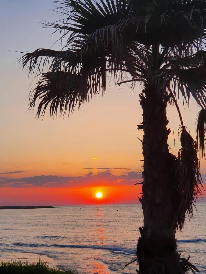 Gemuetliche Ferienwohnung In Torrevieja Ca100M Vom Strand Playa Del Cura Entfernt Ngoại thất bức ảnh