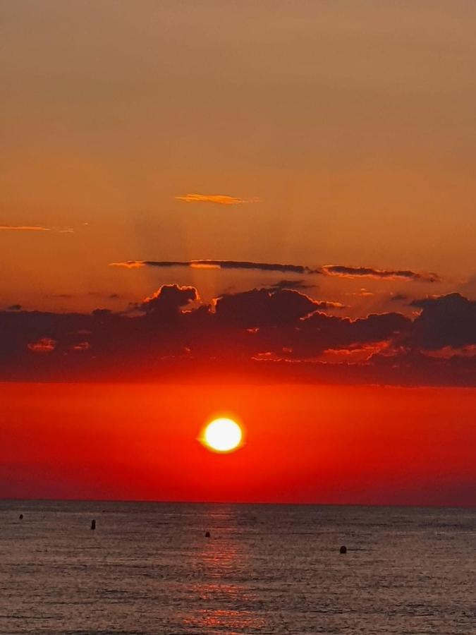Gemuetliche Ferienwohnung In Torrevieja Ca100M Vom Strand Playa Del Cura Entfernt Ngoại thất bức ảnh
